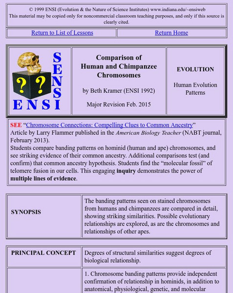 Ensi: Comparison of Human: Chimpanzee Chromosomes Lesson Lesson Plan Ensi: Comparison of Human: Chimpanzee Chromosomes Lesson Lesson Plan