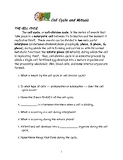 Worksheet Cell Cycle Worksheet cell cycle and mitosis 6th 12th grade worksheet lesson planet worksheet