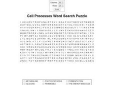 Worksheets Cell Processes Worksheet cell processes word search puzzle 8th grade worksheet lesson planet puzzle