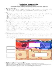 Printables Homeostasis Worksheet collection of homeostasis worksheets bloggakuten electrolyte 9th 12th grade worksheet lesson planet
