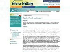 Fossils 1: Fossils and Dinosaurs Lesson Plan