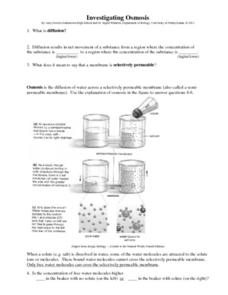Printables Diffusion And Osmosis Worksheet diffusion and osmosis lesson plans worksheets reviewed by teachers investigating osmosis