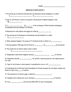 Worksheets Meiosis Worksheet Answers meiosis starts with 9th 12th grade worksheet lesson planet with