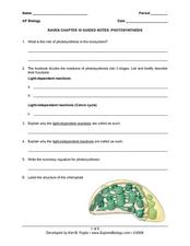 Worksheet Photosynthesis Worksheet photosynthesis worksheet intrepidpath 7th grade science worksheets for kids