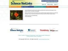 Science NetLinks: It Counts Lesson Plan