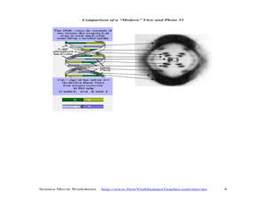 Printables Dna The Secret Of Life Worksheet dna the secret of life worksheet davezan collection bloggakuten