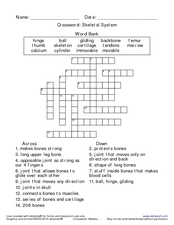 Worksheets The Skeletal System Worksheet Answer Key skeletal system crossword 3rd 6th grade worksheet lesson planet worksheet