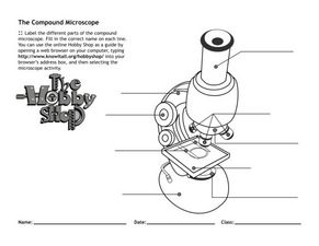 Worksheets The Compound Microscope Worksheet the compound microscope 4th 7th grade worksheet lesson planet worksheet