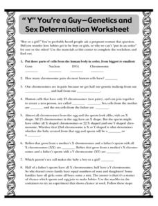 The Blueprints of Your Life Collection | Lesson Planet Your You Re Worksheet