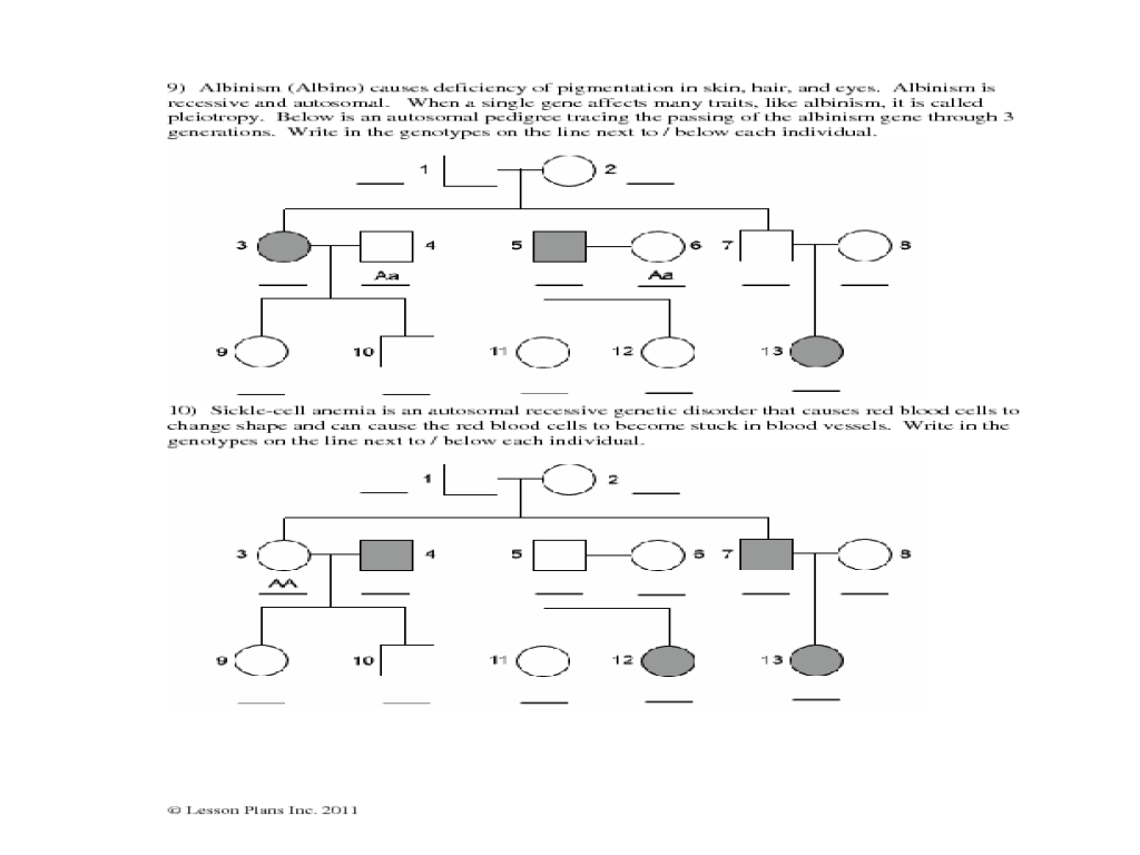 Genetics Pedigree Worksheet Answers