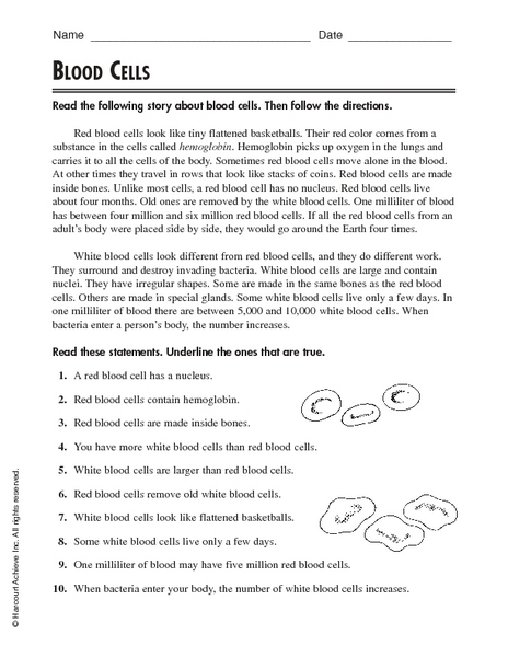 Printables Virtual Cell Worksheet virtual cell worksheet bloggakuten
