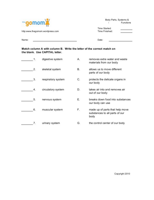 Body System Worksheets Delibertad Body Systems Worksheet Samsungblueearth
