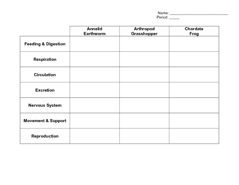 Printables Body Systems Worksheets of the body worksheet davezan systems davezan