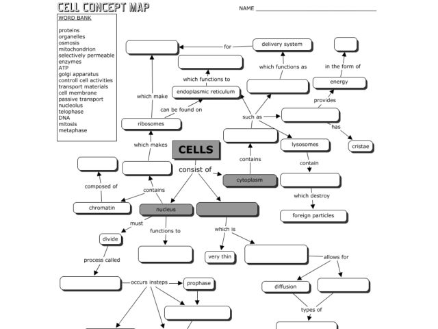 Worksheets Cells Worksheet the cell worksheet sharebrowse collection of sharebrowse