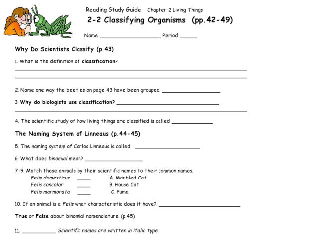 Worksheets Classification Of Organisms Worksheet classifying organisms 9th higher ed worksheet lesson planet