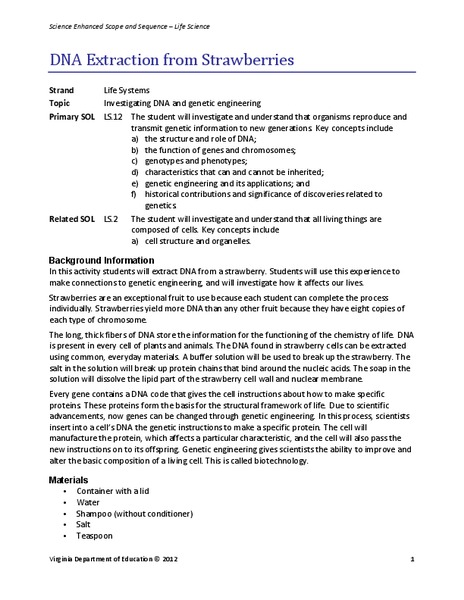 Essay about dna