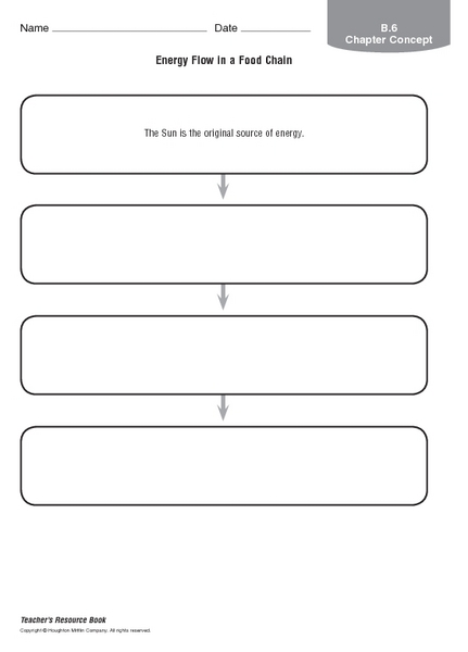 Printables Energy Flow In Ecosystems Worksheet energy flow in an ecosystem worksheet biozone intrepidpath worksheets