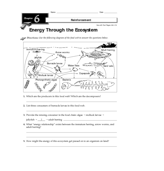 Printables Ecosystem Worksheets worksheets on ecosystems davezan davezan