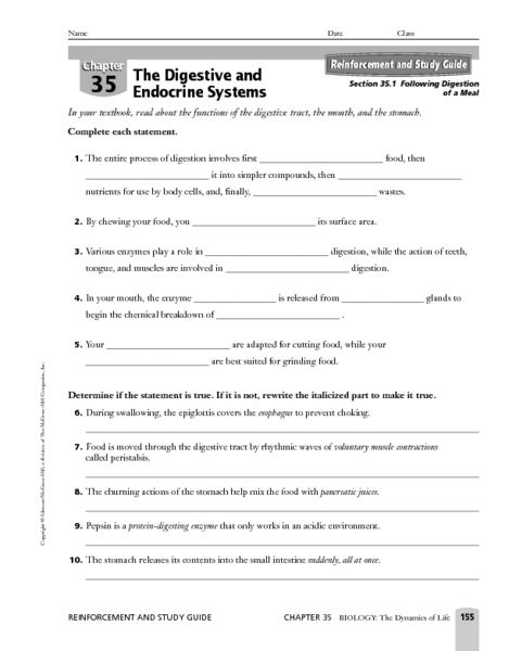Worksheets Digestion Worksheet following digestion of a meal 5th 12th grade worksheet lesson planet