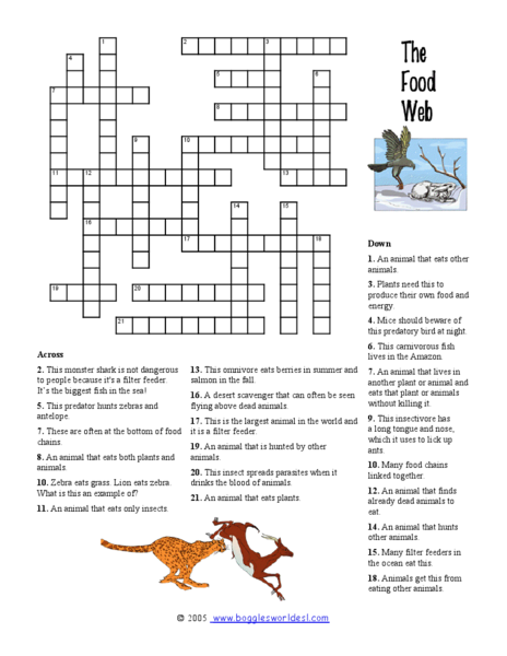 Worksheets Food Web Worksheet High School food chain and web worksheets answers intrepidpath worksheet 6th grade worksheets