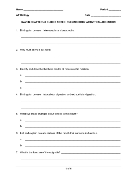 Worksheets Digestion Worksheet pictures digestion worksheet kaessey fueling body activities 11th higher ed worksheet