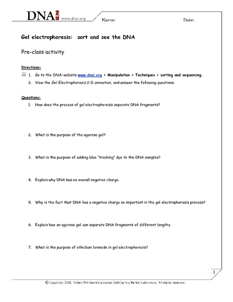 Printables Gel Electrophoresis Worksheet gel electrophoresis sort and see the dna 7th 12th grade worksheet lesson planet
