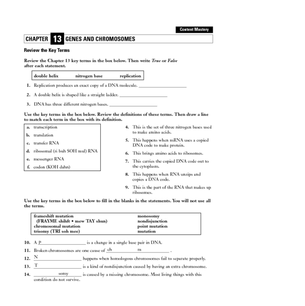 Worksheets Dna And Genes Worksheet dna and genes worksheet answers worksheets dnaandgenesworksheet jarel hanson virtual lab genes