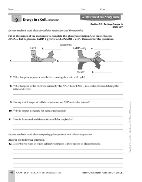 Printables Atp Worksheet getting energy to make atp 9th higher ed worksheet lesson planet