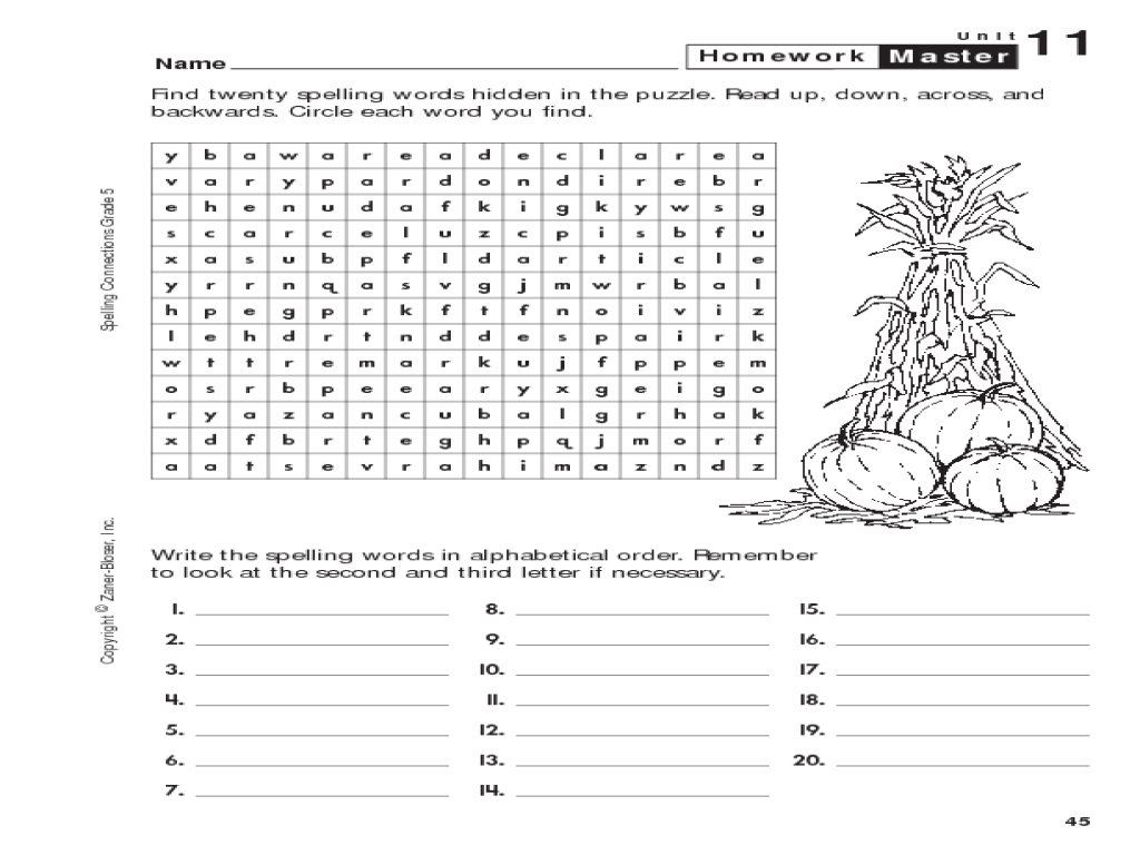 Search homework help