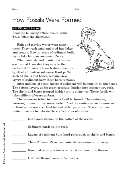 Printables Fossil Worksheets fossils worksheets versaldobip how were formed 3rd 5th grade worksheet lesson planet