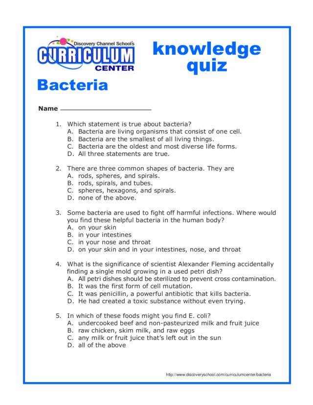 Printables Bacteria Worksheet virus and bacteria worksheet worksheet