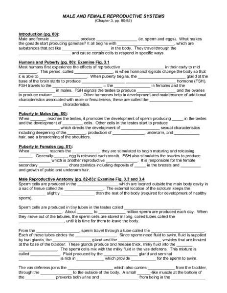 Printables Female Reproductive System Worksheet male and female reproductive systems 9th higher ed worksheet lesson planet