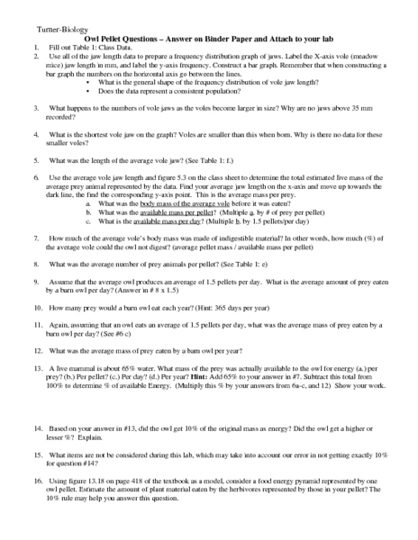 Worksheet Owl Pellets Worksheets free worksheets owl math for pellets laveyla com