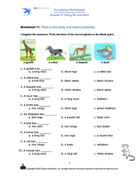 Worksheet Grade 2 Worksheet On Camouflage camouflaged animals coloring info pages allaboutnature animal camouflage worksheets gakuten