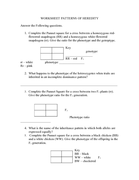 Printables Dna The Molecule Of Heredity Worksheet dna the molecule of heredity worksheet key abitlikethis patterns 9th higher ed lesson planet