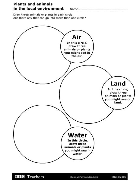 Worksheets Plant Adaptations Worksheets 5th Grade plant adaptations worksheets 5th grade virallyapp printables 3 intrepidpath 4th the best and