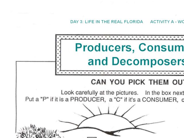 Printables Producers Consumers And Decomposers Worksheet collection of producers consumers and decomposers worksheet worksheet