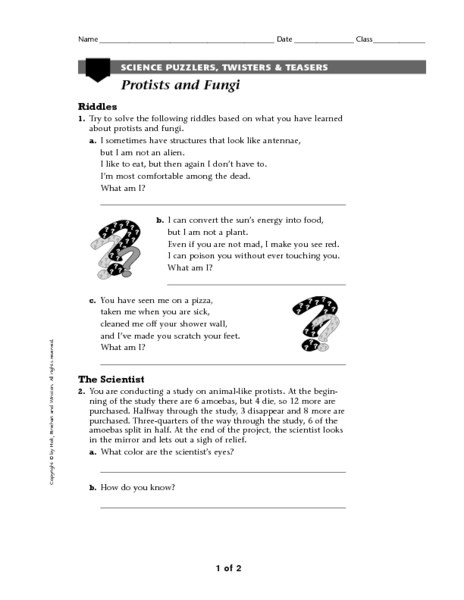 Printables Protists Worksheet protist and fungi lesson plans worksheets reviewed by teachers protists fungi