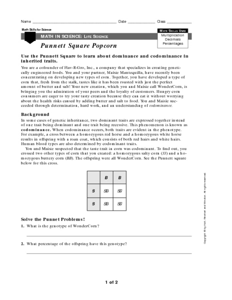 Worksheets Punnett Square Worksheet Answers punnett square popcorn 8th 12th grade worksheet lesson planet