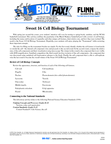 Printables 10th Grade Biology Worksheets worksheets for 10th grade biology ib solalto 9th kids teachers