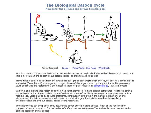 Printables Carbon Cycle Worksheets worksheet the carbon cycle kerriwaller printables 7th grade intrepidpath biological 4th 6th lesson