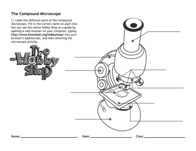 Printables The Compound Microscope Worksheet the compound microscope 4th 7th grade worksheet lesson planet