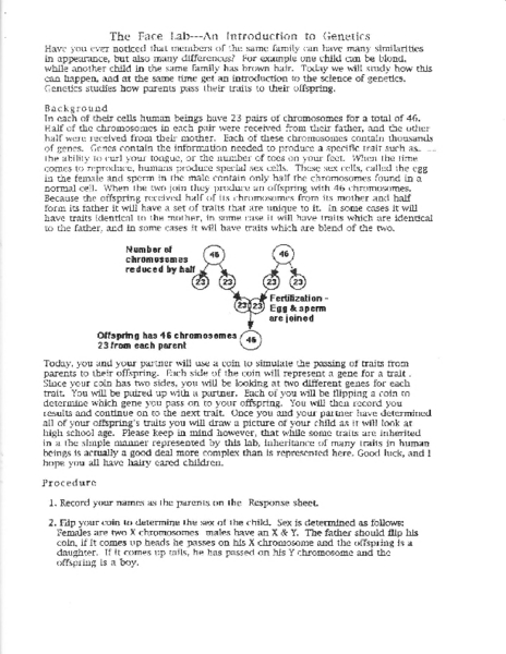 Printables Introduction To Genetics Worksheet the face lab an introduction to genetics 7th 12th grade worksheet lesson planet