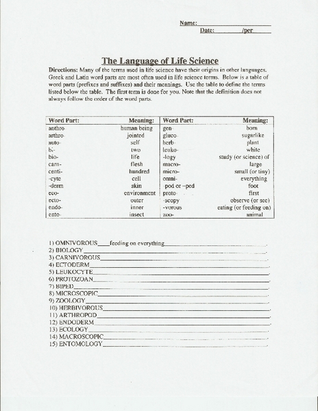 Worksheets The Language Of Science Worksheet the language of science worksheet science