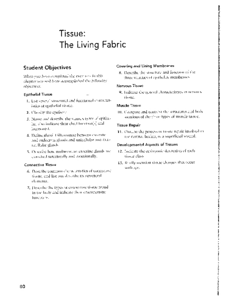 Worksheets Epithelial Tissue Worksheet epithelial tissue worksheet answers ukrobstep com anatomy games