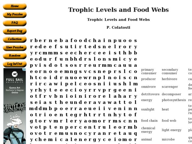 Worksheets Trophic Levels Worksheet trophic level worksheet high school intrepidpath levels and food webs 9th 10th grade lesson