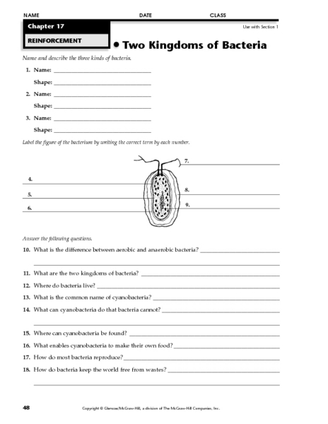 Printables Bacteria Worksheet worksheet davezan bacteria davezan