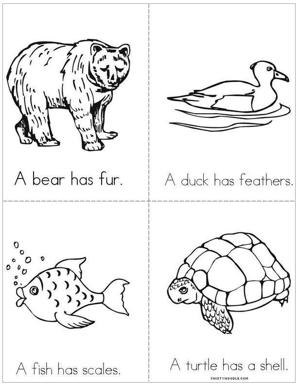 Fur, Features, Scales, and Shells Book Printables for Kindergarten