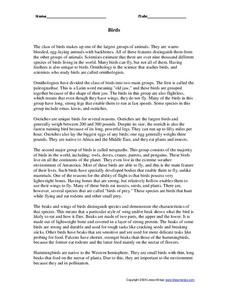 Birds Worksheet