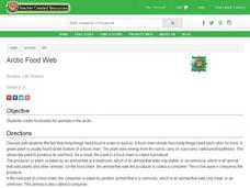 Arctic Food Web Lesson Plan